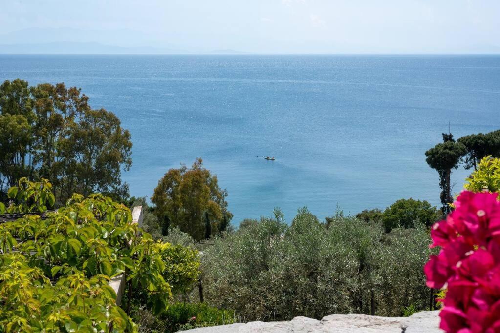 Seaside House With View Over Pagasitikos Áfissos Esterno foto